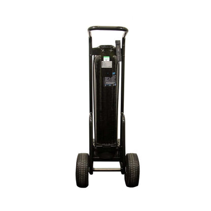 Filtru DI Streamline® Mobi® Roll 24 litri